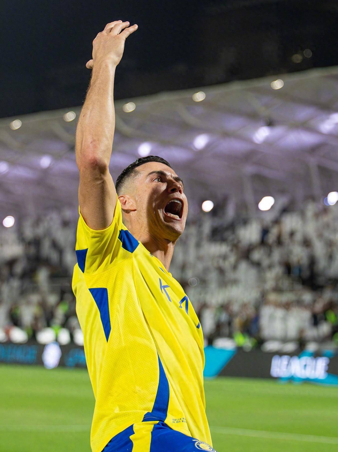 从而收获更 从而收获更