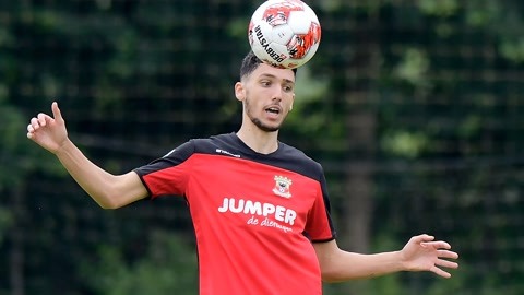 帕尔默因大 帕尔默因大